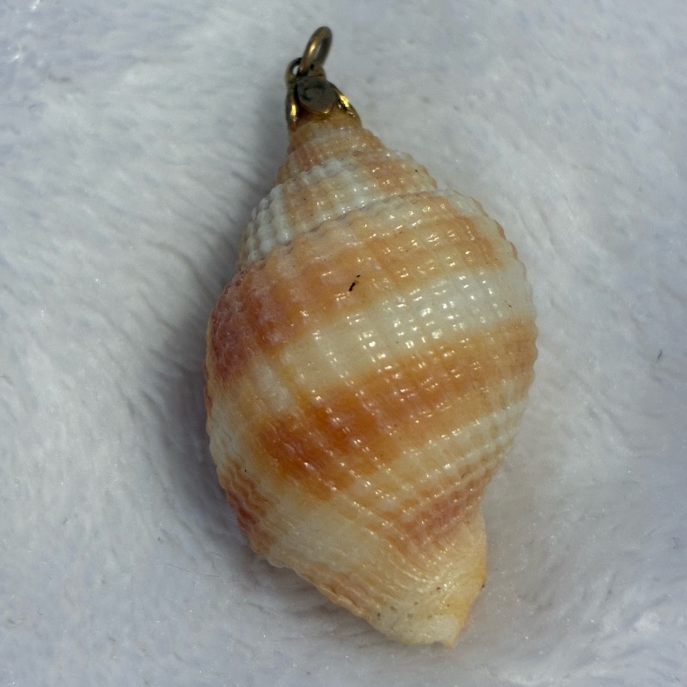 Authentic Seashell Pendant with Cream and Peach Stripes